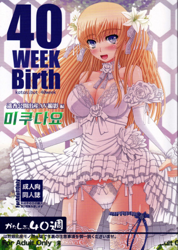 (C88) [Shiawase Kyouwakoku (Shiawase no Katachi)] Katashibu 40-shuu [Korean] [미쿠다요] cover