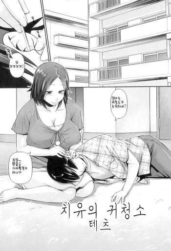 [Tetsu] Iyashi Mimikaki (Maman Love 6) [Korean] cover