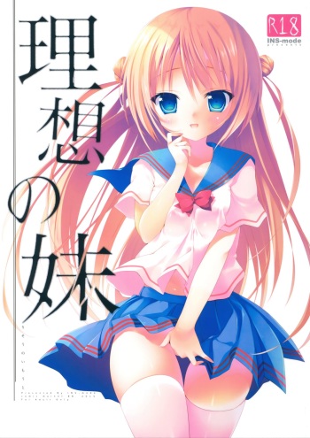 (C88)  [INS-mode (Amanagi Seiji)] Risou no Imouto cover