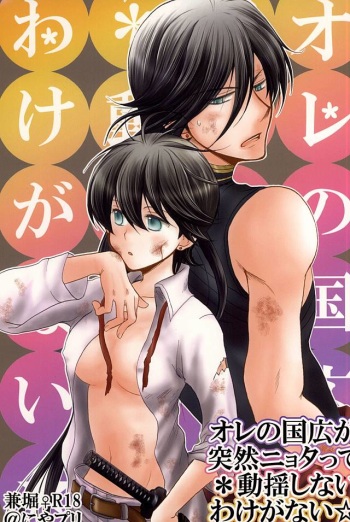 (SPARK10) [Niyapuri (Wara)] Ore no Kunihiro ga Totsuzen Nyotatte Douyou Shinai Wake ga Nai (Touken Ranbu) cover