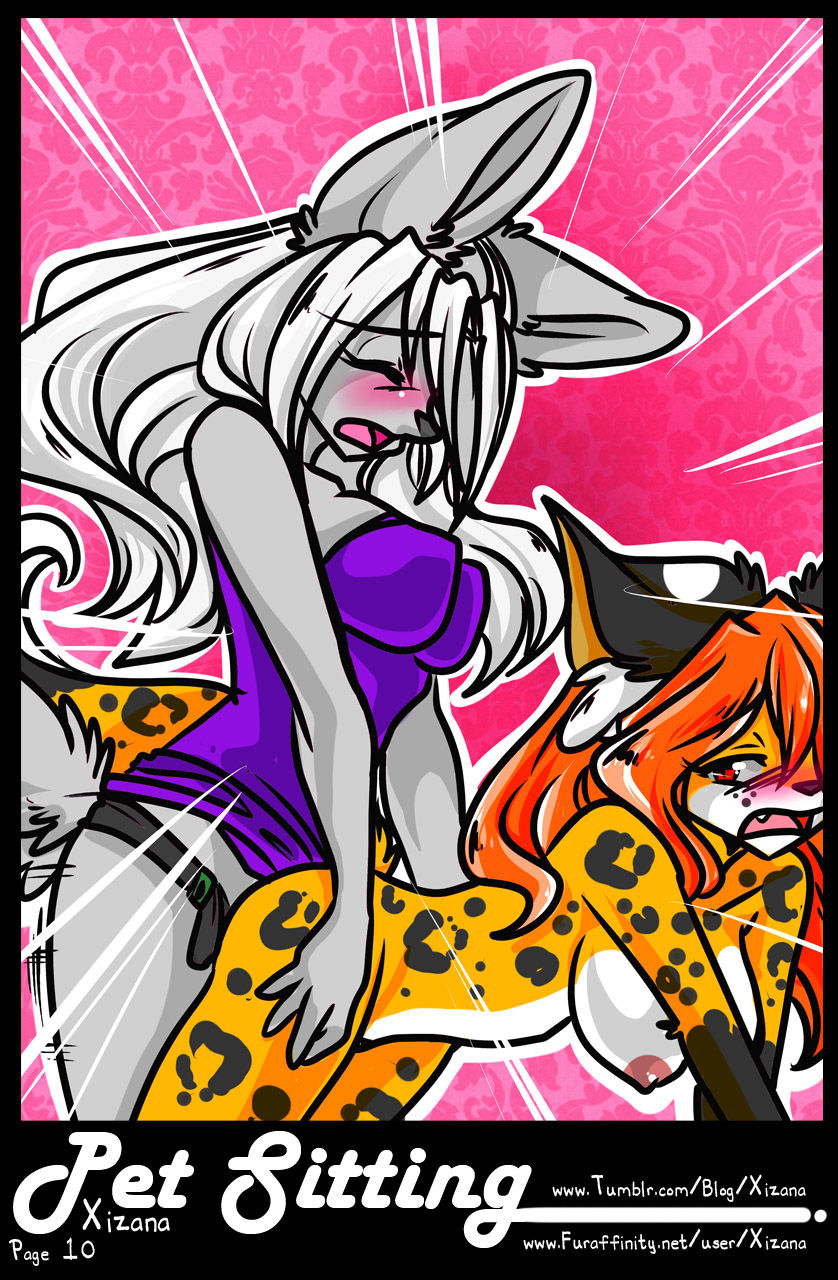 Pet Sitting page 11 full