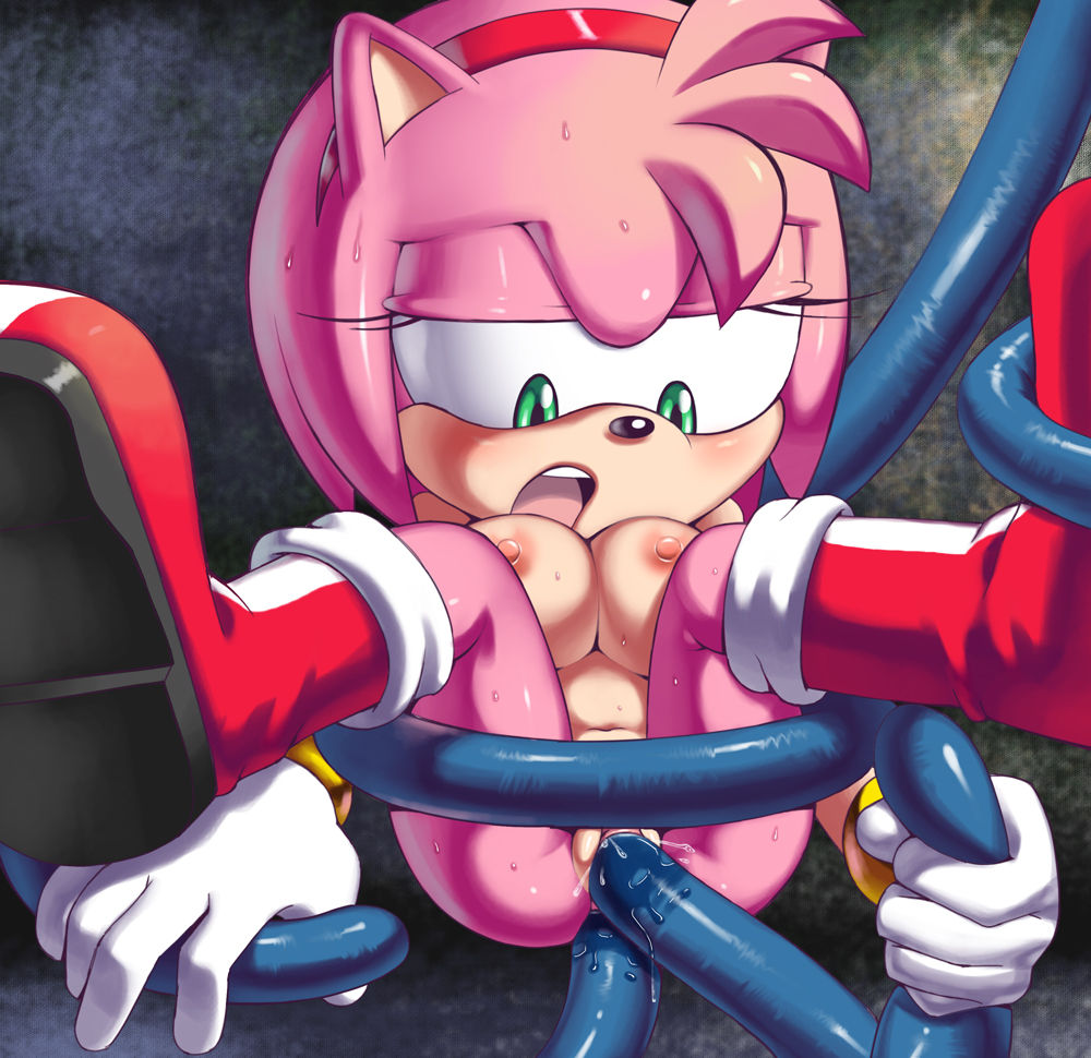 Amy Rose page 9 full