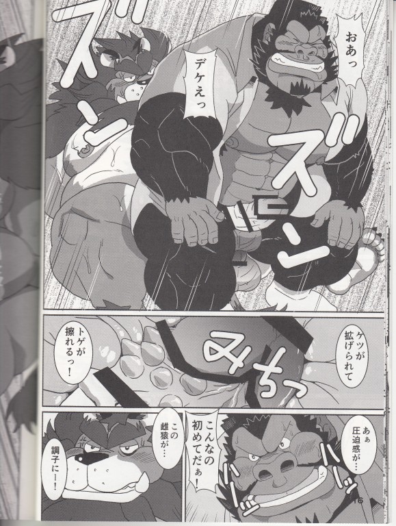 DDLION - Dandy Dirty Lion page 12 full