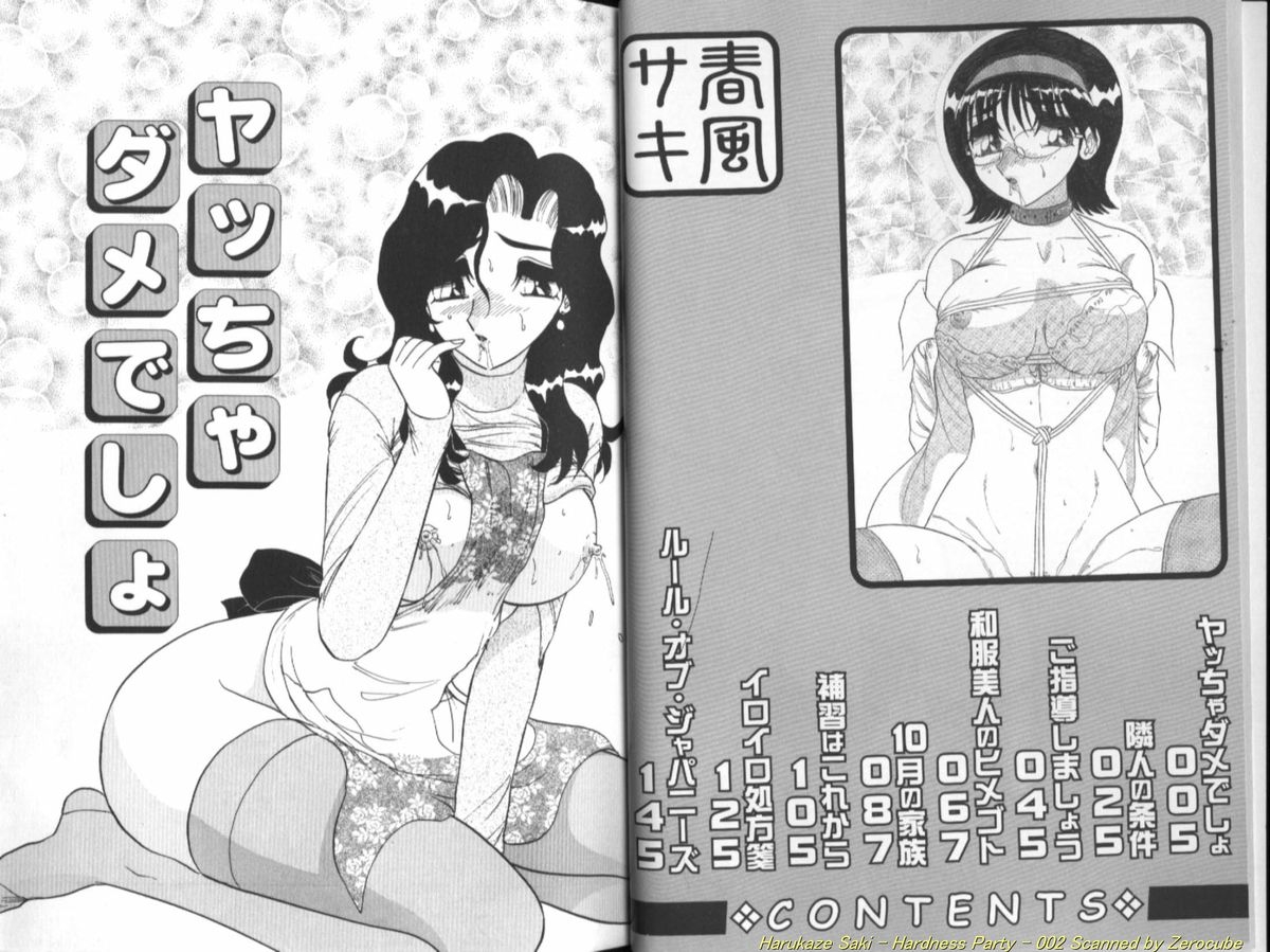 Seien ~Hardness Party~ page 3 full