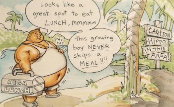Hippo Story cover