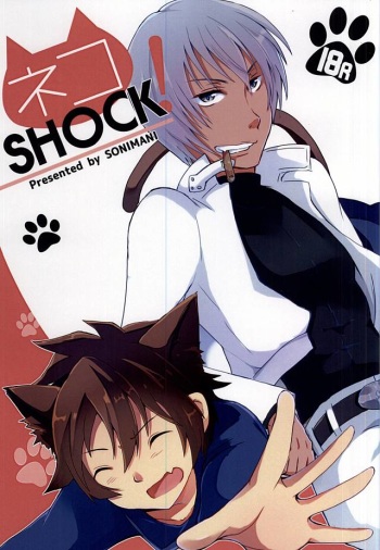 (Ikai Toshi no Arukikata) [SoniMani (Aduma Kei, Majin Nana)] Neko SHOCK (Kekkai Sensen) cover