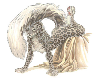 My furry collection 01 cover