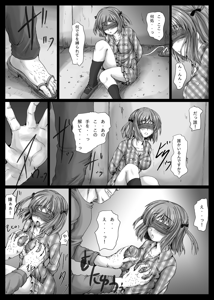 BindHM page 4 full