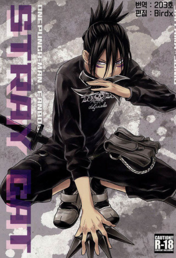 (C86) [LITHIUM (Yukimaru)] stray cat (One Punch Man) [Korean] [Team K·C] cover