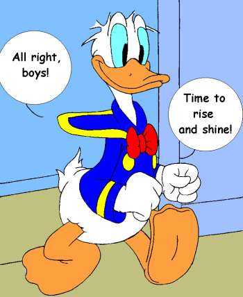 Campout cover