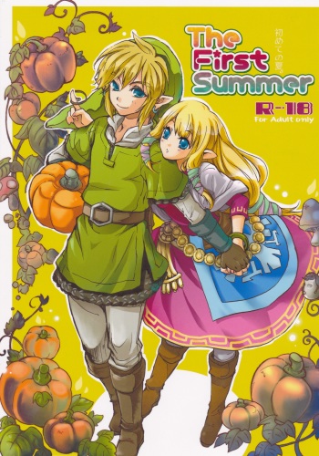 (HaruCC18) [Usagi paradise (Misa)] Hajimete no Natsu. ~The First Summer~ (The Legend of Zelda: Skyward Sword) [Spanish] [Guilty3458] cover