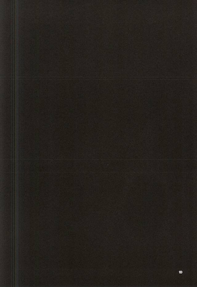 ホントに佐鳥でインですか!? page 11 full