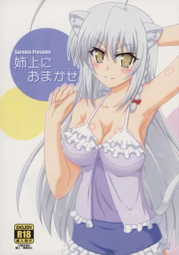(CT25) [Serenta (BOM)] Aneue ni Omakase (DOG DAYS) cover