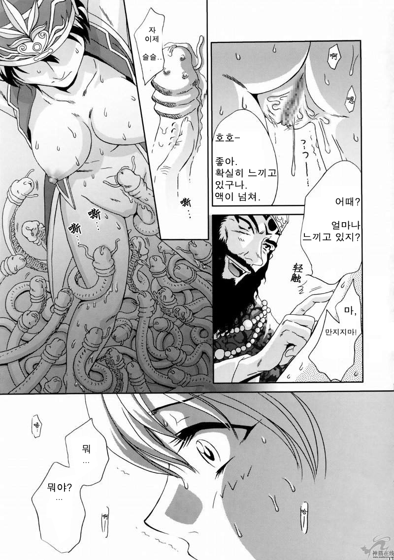 In Sangoku Musou Rikuson Gaiden page 12 full