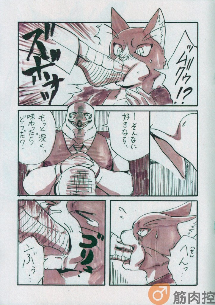 Reading page 11 full
