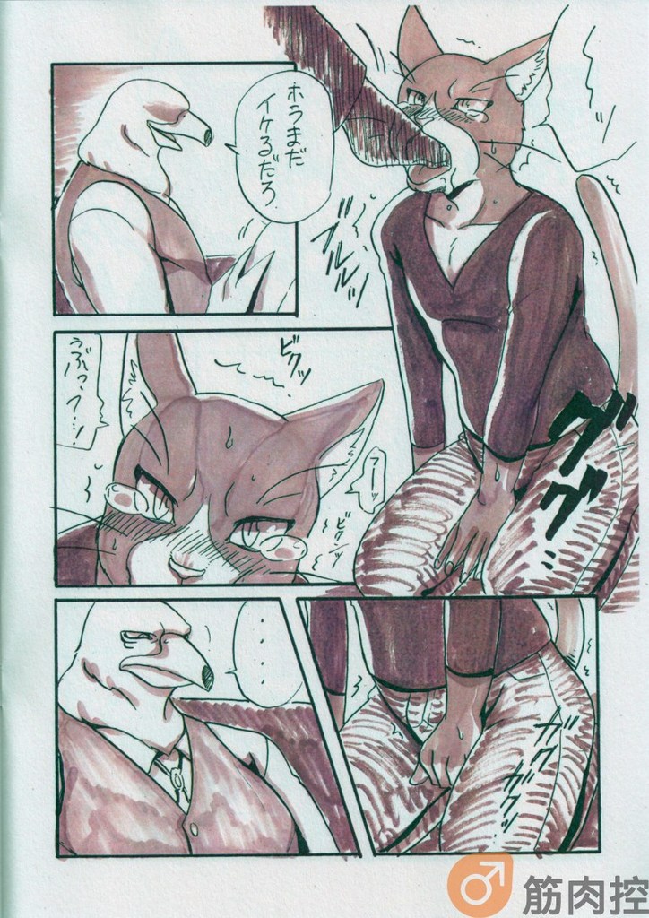 Reading page 12 full