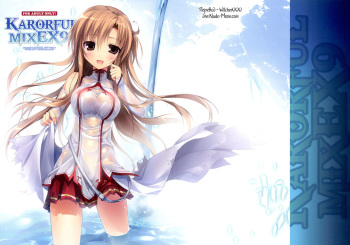 (SC57) [KAROMIX (karory)] KARORFUL MIX EX9 (Sword Art Online) [Russian] [Witcher000] cover