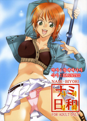 (C70) [Kurione-sha (YU-RI)] Nami-Biyori (One Piece) [Korean] [침대매니아] cover