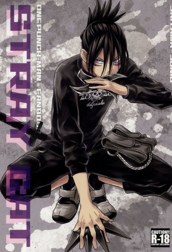 (C86) [LITHIUM (Yukimaru)] stray cat (One Punch Man) [English] [Cody Scans] cover