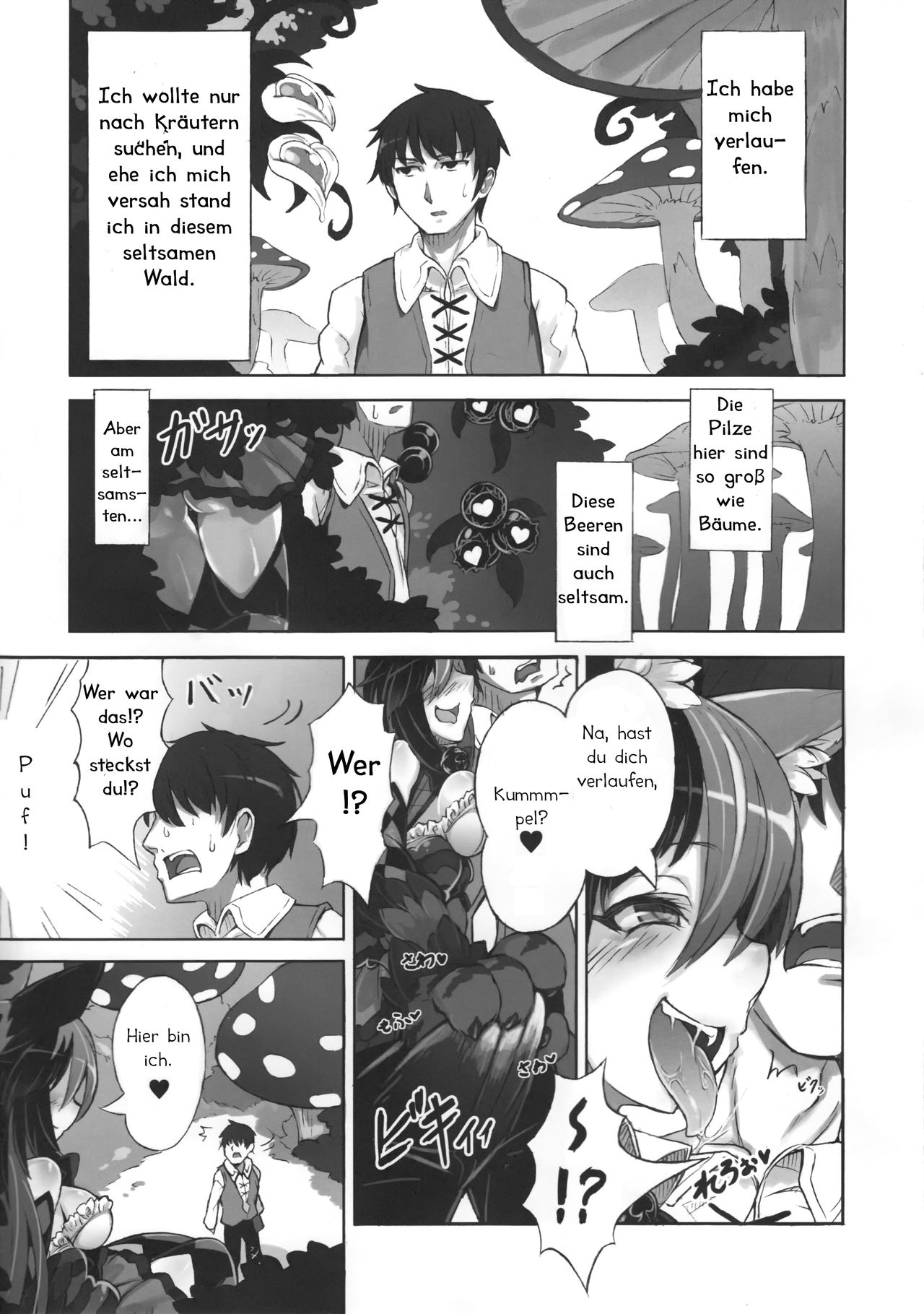 Mamono Musume Zukan Higai Houkoku ~Cheshire Neko no Oidemase Fushigi no Kuni~ | Monster Girl Encyclopedia Damage Report ~Willkommen im Wunderland~ page 3 full