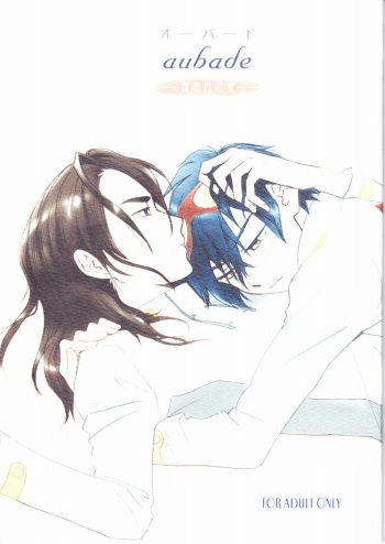(Drill wa Otoko no Tamashii 3) [Earthly Southern Cross (Hashiba Rin)] aubade (Tengen Toppa Gurren Lagann) cover