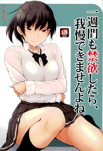 (C89) [UGC (Sasaki Akira)] Isshuukan mo Kinyoku Shitara, Gaman Dekimasen yo ne (Amagami) cover