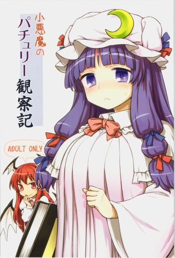 (C88) [110-GROOVE (Itou Yuuji)] Koakuma no Patchouli Kansatsuki (Touhou Project) cover
