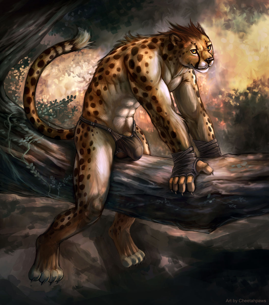Artist - Cheetahpaws page 3 full