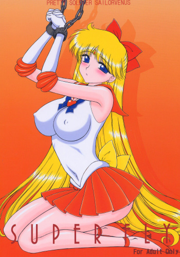 (C69) [BLACK DOG (Kuroinu Juu)] Super Fly (Bishoujo Senshi Sailor Moon) [Korean] cover