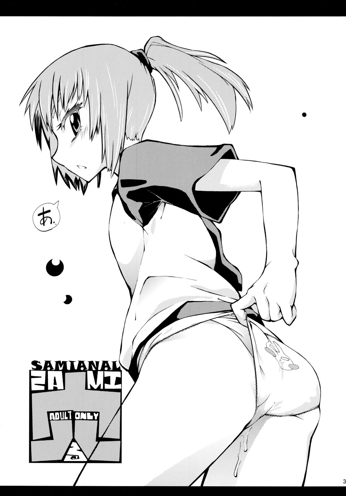 SAMI Anal page 2 full