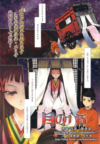 [Sumiya] Tsuki no Hime | 달의 공주 (COMIC LO 2010-01) [Korean] cover