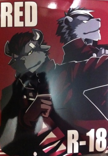 (C85) [Sky Junction (KENN, Hachi, IG)] RED cover