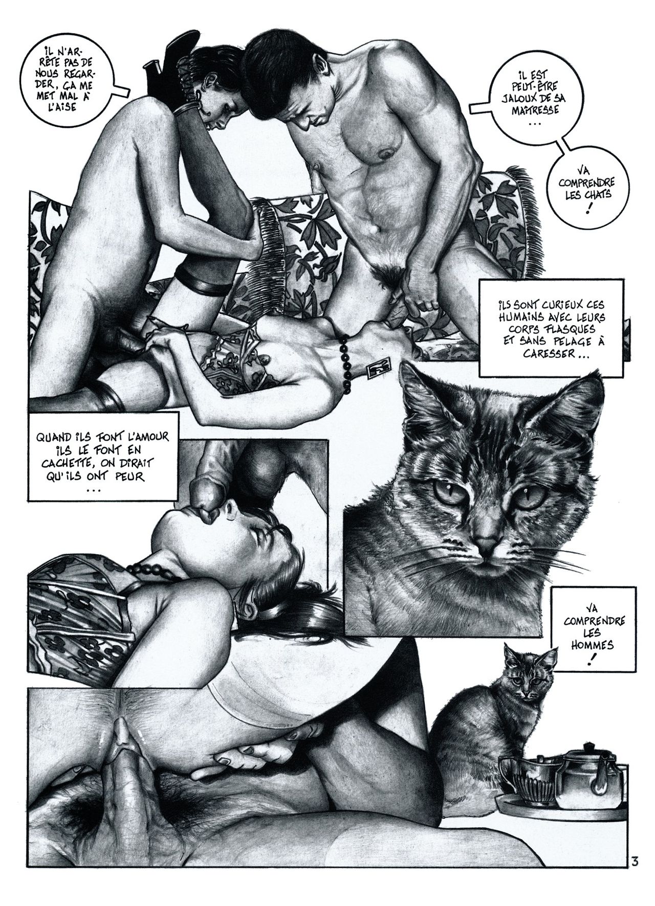Chattes et autres felins page 4 full
