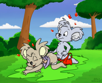 The Adventures of Blinky Bill (RYC) cover