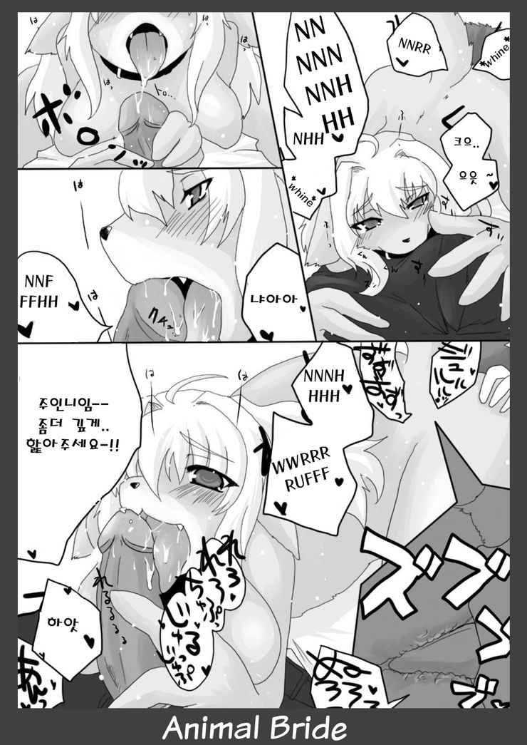 Kemono no Oyome-san | Animal Bride page 12 full