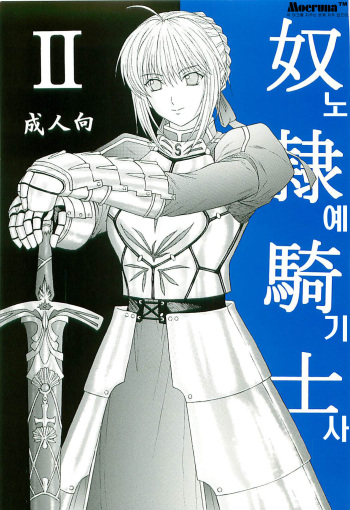 [KUSARI (Aoi Mikku)] Dorei Kishi II (Fate/stay night) [Korean] cover