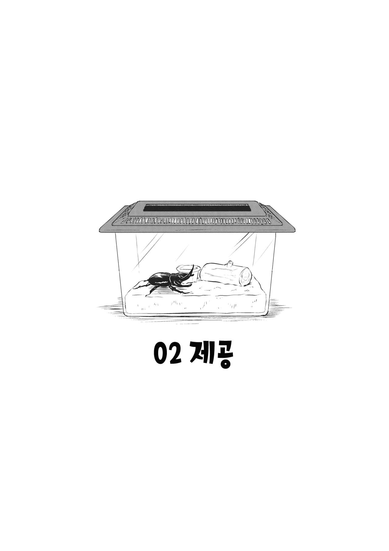 Shinmyoumaru VS Caucasus Ookabuto | 신묘마루 VS 코카서스 장수풍뎅이 page 11 full
