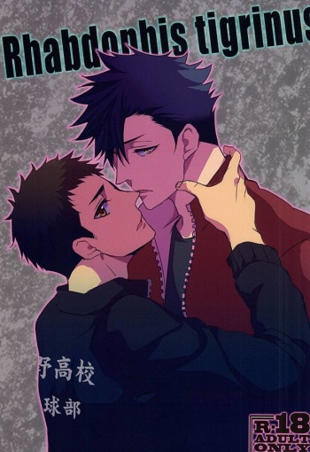 (RTS!!5) [uraBB28 Gou (pizi2 Gou)] Rhabdophis tigrinus (Haikyuu!!) cover