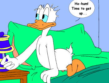 Surprise for Donald cover