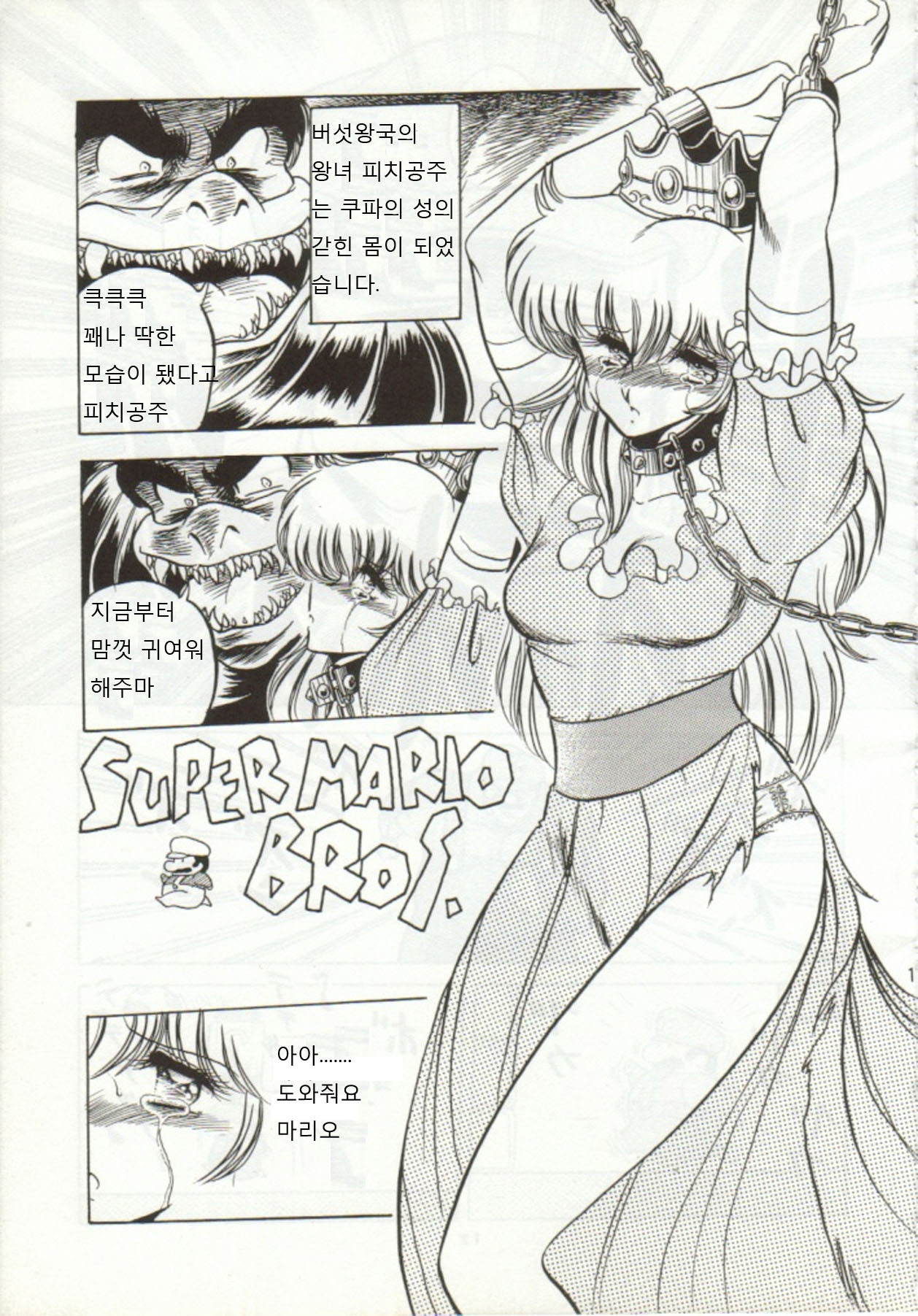 Super Mario Collection page 8 full