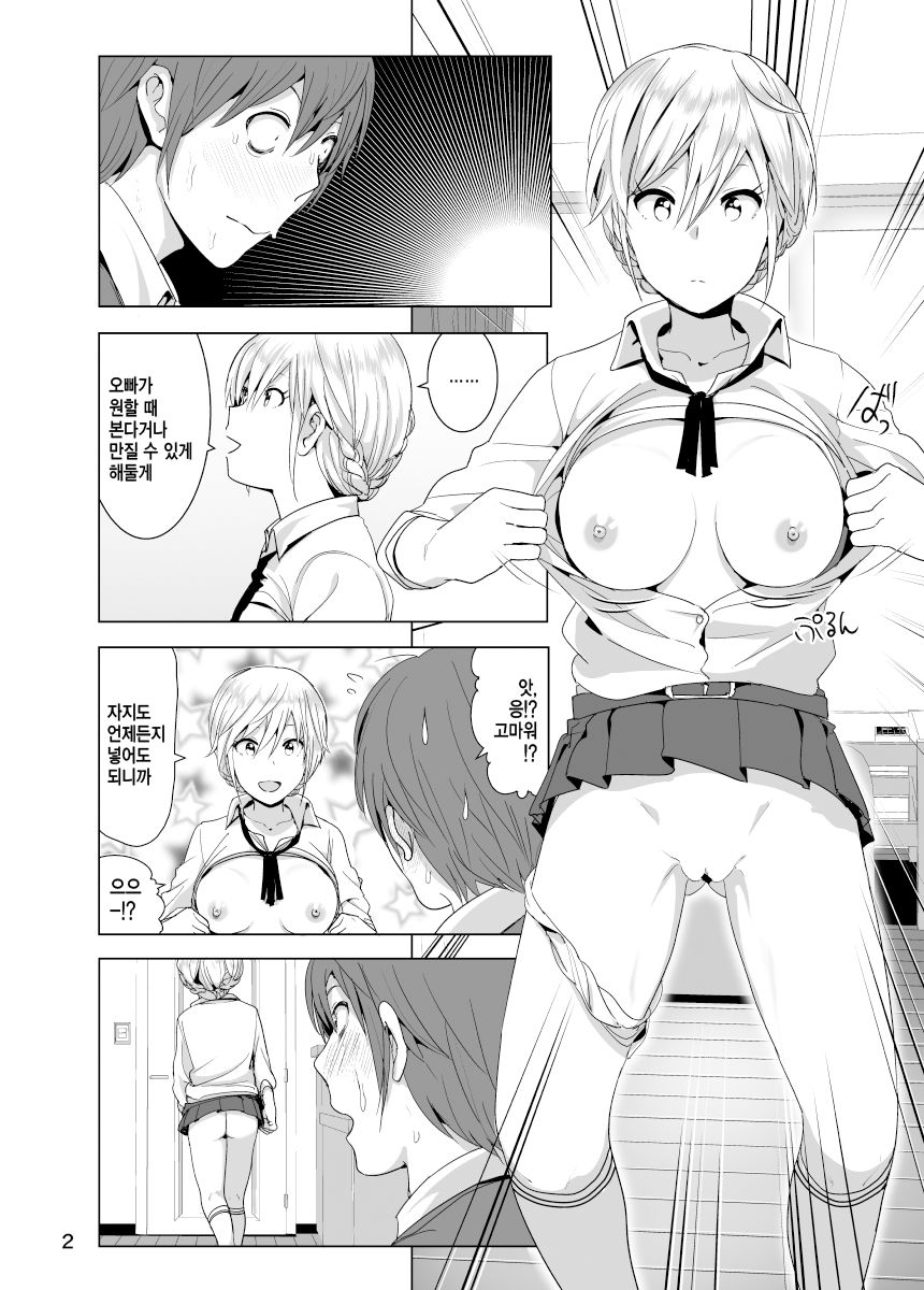 Imouto no Oppai ga Marudashi Datta Hanashi 2 page 3 full