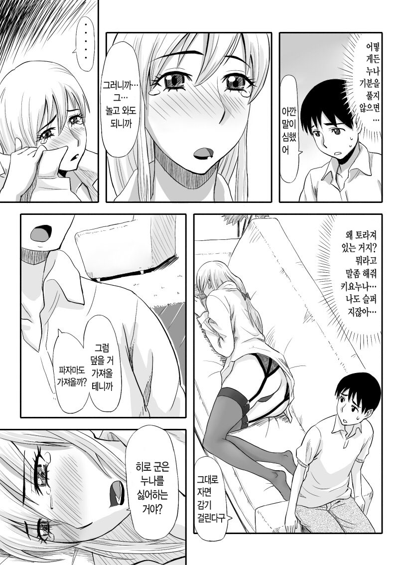 Inran Onee-chan wa Seijunha | 음란한 누나는 청순파 page 10 full
