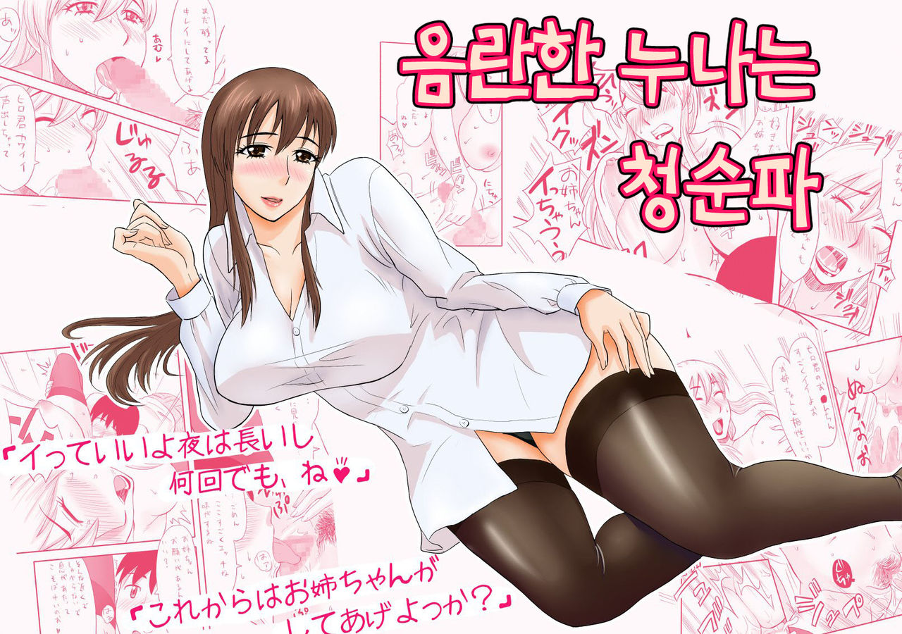 Inran Onee-chan wa Seijunha | 음란한 누나는 청순파 page 2 full