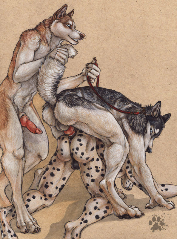 Furry Art Gay Yaoi page 8 full