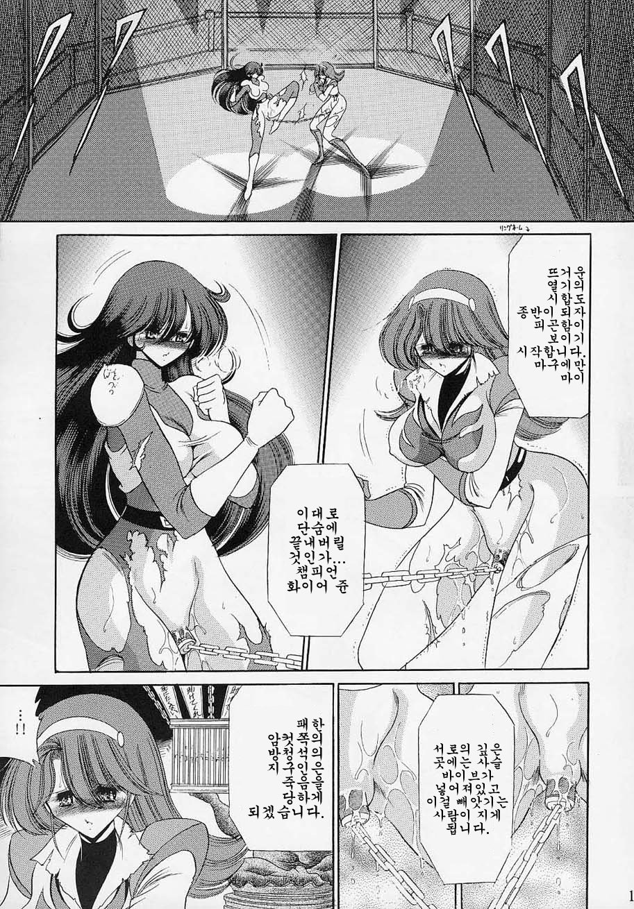 VV page 12 full