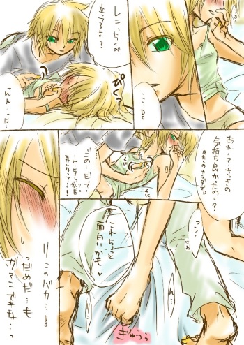 ~ Rin & Len ~ cover