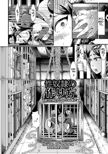 [Shomu] Seidorei no Tsukurikata | How to Make a Sex Slave (Kabe ni Umekomareta Shoujo de Seiyoku Shori Vol. 2) [Russian] [Hentai Master] [Digital] cover