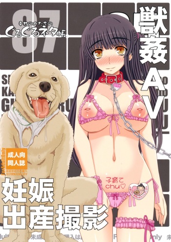 (C87) [Shiawase Kyouwakoku (Shiawase no Katachi)] Shiawase no Katachi no Guruguru Netachou 87 Juukan AV Ninshin Shuusan Satsuei cover