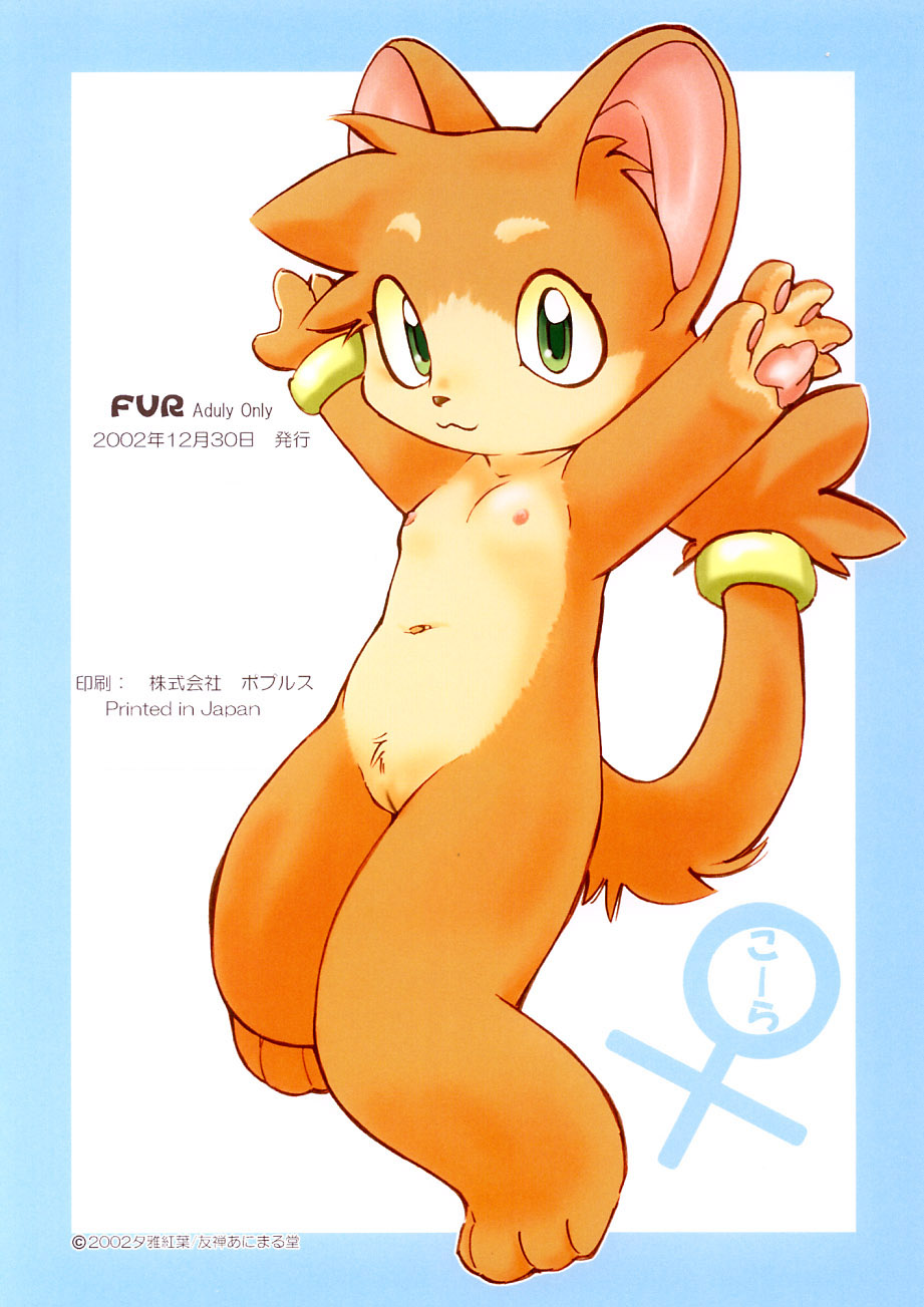 FUR page 11 full