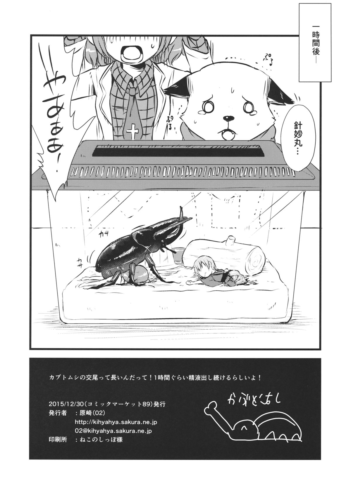 Shinmyoumaru VS Caucasus Ookabuto page 9 full